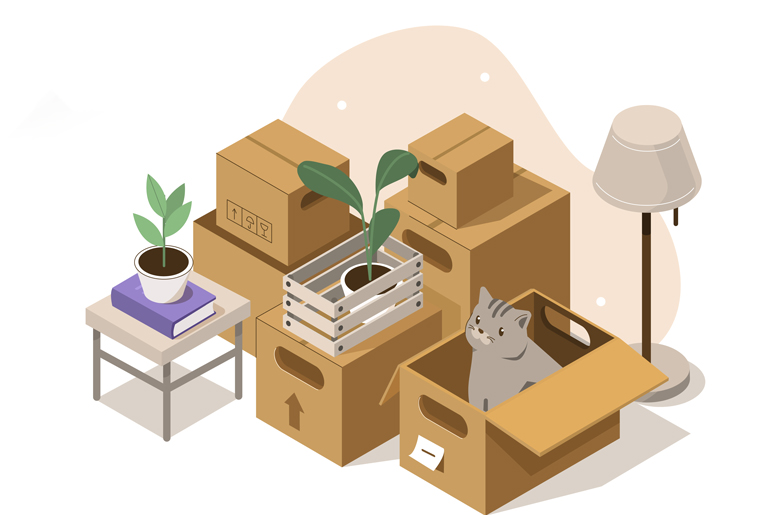 Vector image of cardboard boxes and a cat sitting in the box with a few house plants and lamp